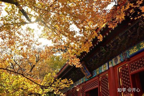 南京鍾山|南京钟山（中山陵）风景区旅游攻略